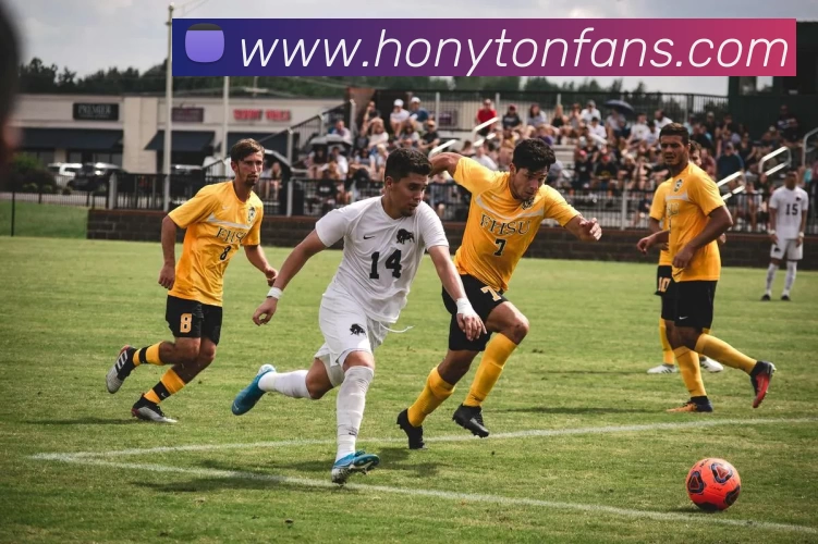 App Interface Preview