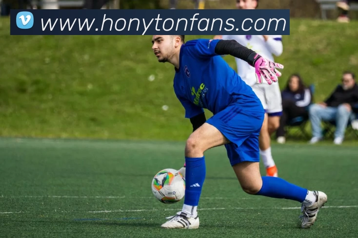 星空官网APP 封面图